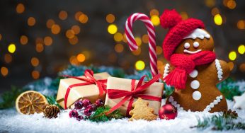Where to Celebrate Christmas Party in Florida